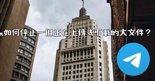 Telegram如何停止一個正在上傳或下載的大文件？