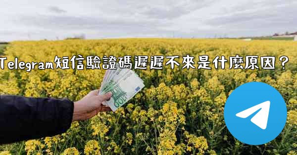 <b>Telegram短信驗證碼遲遲不來是什麼原因？</b>