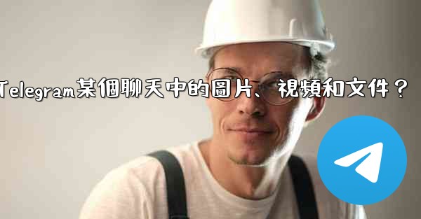 如何只查看Telegram某個聊天中的圖片、視頻和文件？