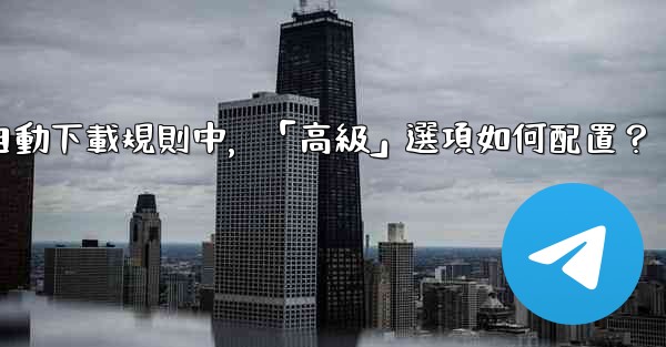 Telegram媒體自動下載規則中，「高級」選項如何配置？