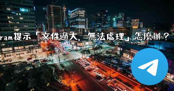 Telegram提示「文件過大，無法處理」怎麼辦？