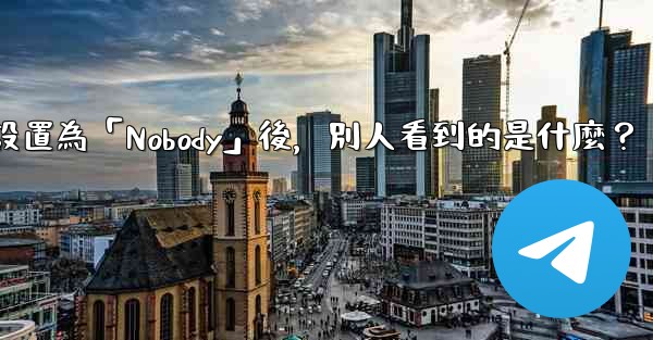 Telegram設置為「Nobody」後，別人看到的是什麼？