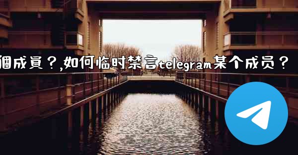如何臨時禁言Telegram某個成員？,如何临时禁言telegram某个成员？