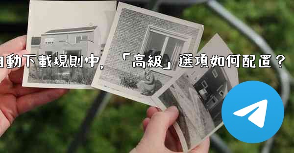 電報媒體自動下載規則中，「高級」選項如何配置？