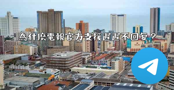 為什麼電報官方支援遲遲不回复？