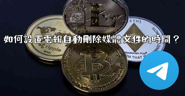 如何設置電報自動刪除媒體文件的時間？