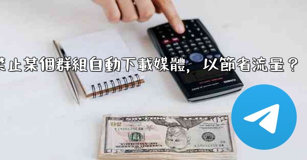 電報如何禁止某個群組自動下載媒體，以節省流量？