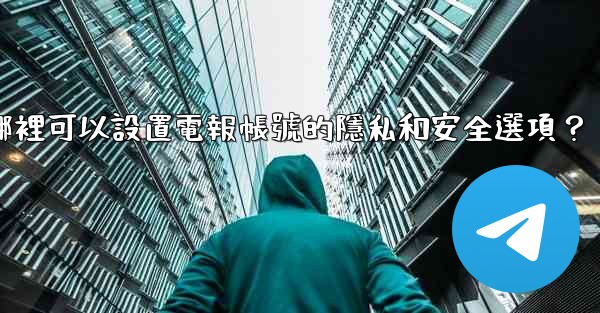在哪裡可以設置電報帳號的隱私和安全選項？