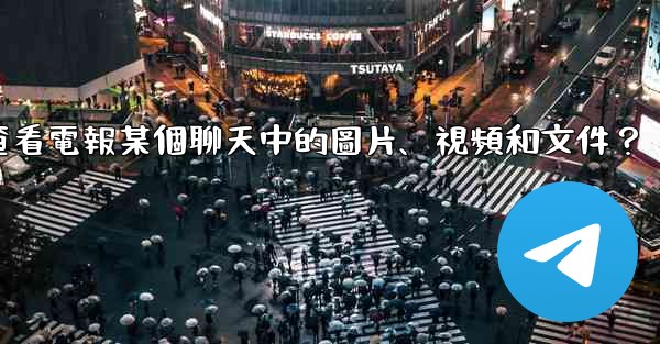 如何只查看電報某個聊天中的圖片、視頻和文件？