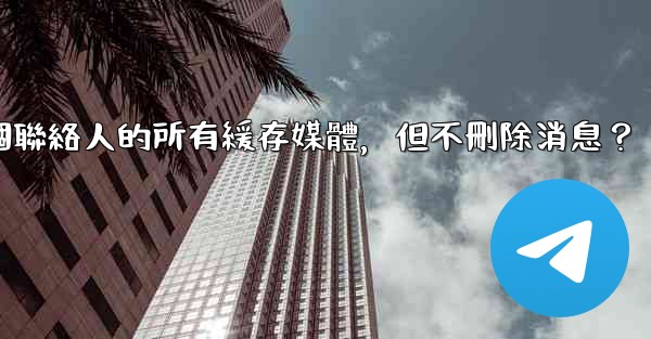 電報如何清理與某個聯絡人的所有緩存媒體，但不刪除消息？