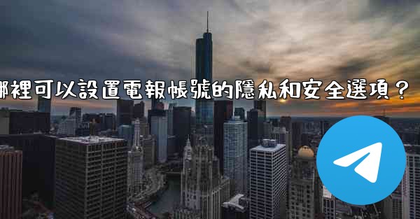 在哪裡可以設置電報帳號的隱私和安全選項？