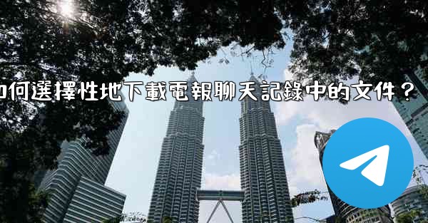 <b>如何選擇性地下載電報聊天記錄中的文件？</b>