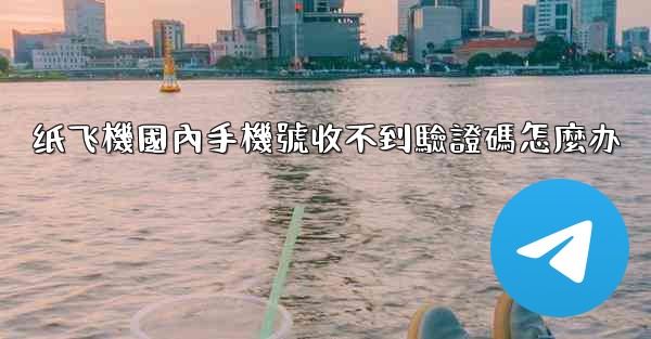 纸飞機國內手機號收不到驗證碼怎麼办