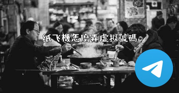 纸飞機怎麼弄虚拟號碼