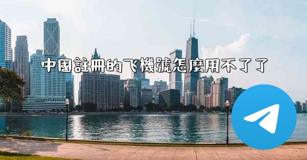 中國註冊的飞機號怎麼用不了了