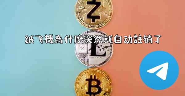 <b>纸飞機為什麼突然就自动註销了</b>