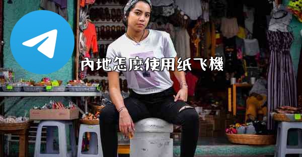 內地怎麼使用纸飞機