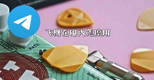 飞機在國內怎麼用