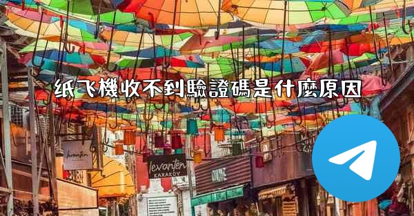 纸飞機收不到驗證碼是什麼原因