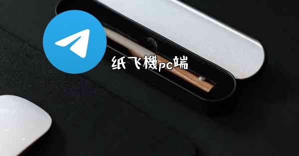 纸飞機pc端