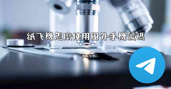 <b>纸飞機怎麼使用國外手機號碼</b>