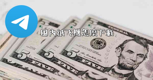 國內纸飞機怎麼下載