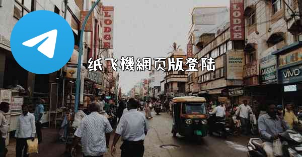 纸飞機網页版登陆