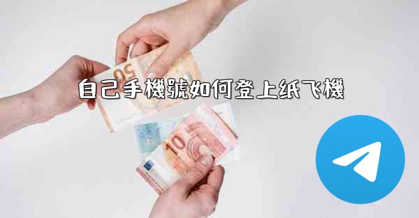 自己手機號如何登上纸飞機