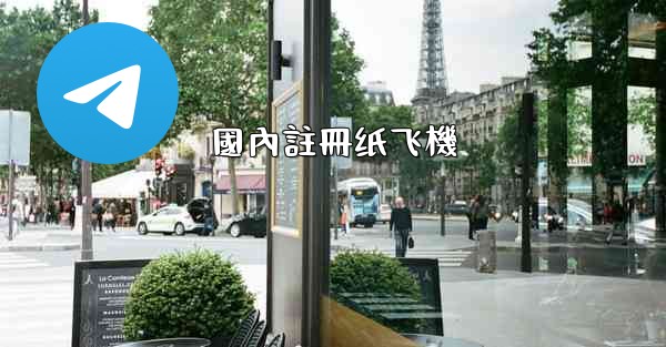 國內註冊纸飞機