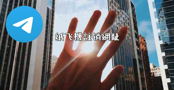 纸飞機註销網址