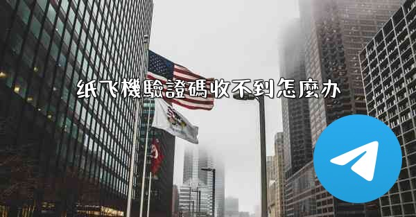 纸飞機驗證碼收不到怎麼办