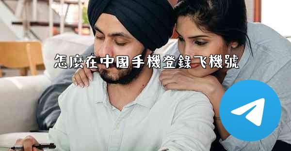 怎麼在中國手機登錄飞機號