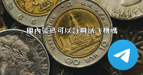 國內號碼可以註冊纸飞機嗎