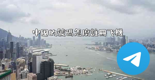 中國的號碼怎麼註冊飞機