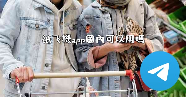 纸飞機app國內可以用嗎