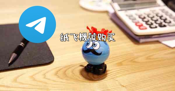 <b>纸飞機號购买</b>