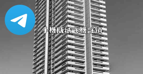 手機版纸飞機註销