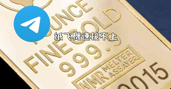 纸飞機連接不上