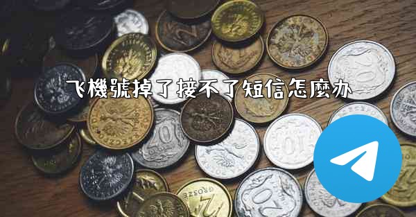 飞機號掉了接不了短信怎麼办