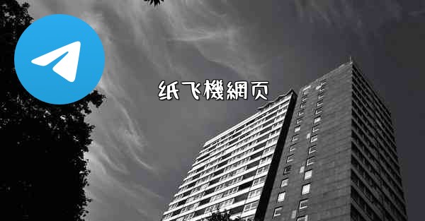 纸飞機網页