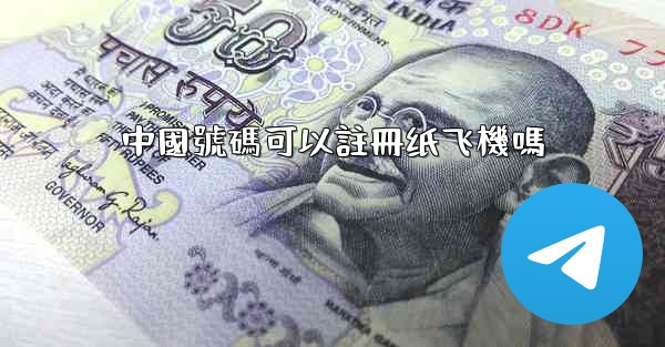 中國號碼可以註冊纸飞機嗎