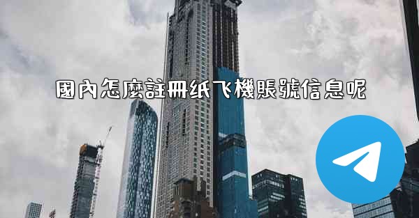 國內怎麼註冊纸飞機賬號信息呢