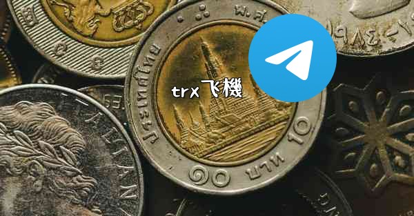 <b>trx飞機</b>