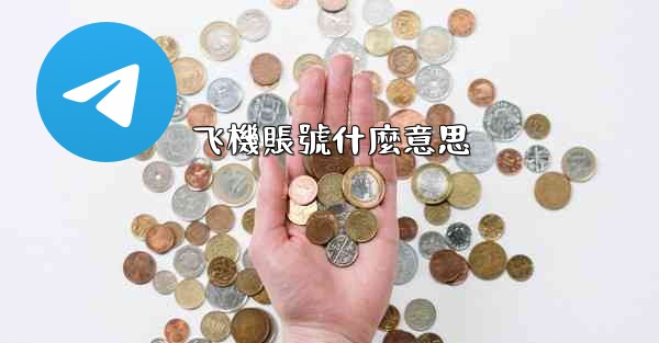 飞機賬號什麼意思