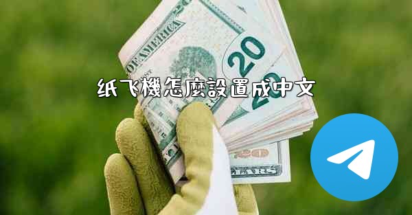 纸飞機怎麼設置成中文