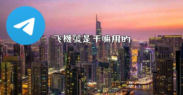 飞機號是干嘛用的