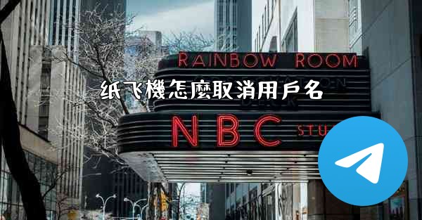 纸飞機怎麼取消用戶名