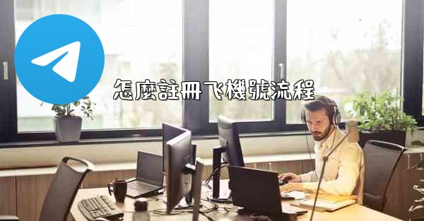 怎麼註冊飞機號流程