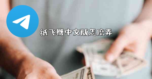 纸飞機中文版怎麼弄
