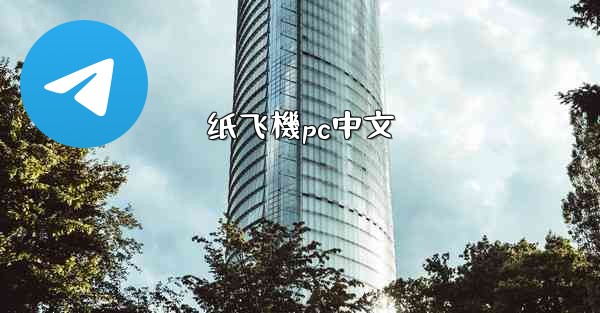纸飞機pc中文